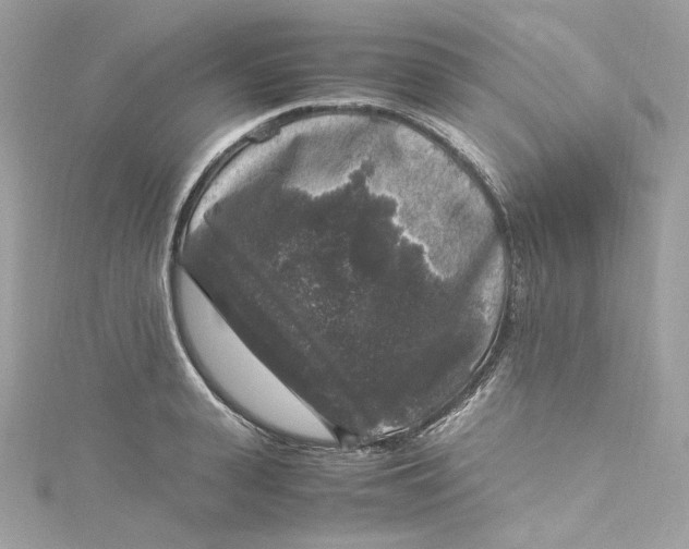 X0000115060943200911161606