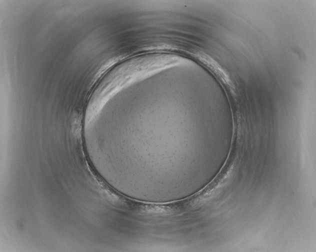 X0000115060945200911161606