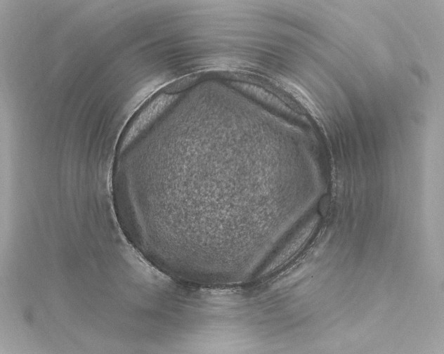 X0000115060946200911161606