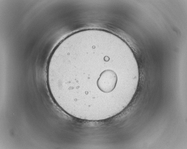 X0000115060950200911161606