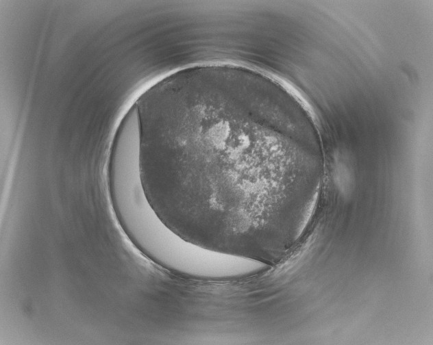 X0000115060951200911161606