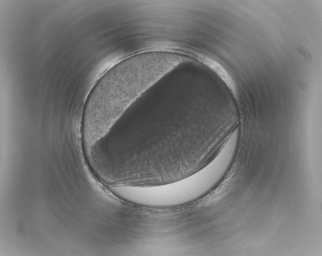 X0000115060954200911161606