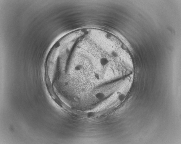 X0000115060955200911161606