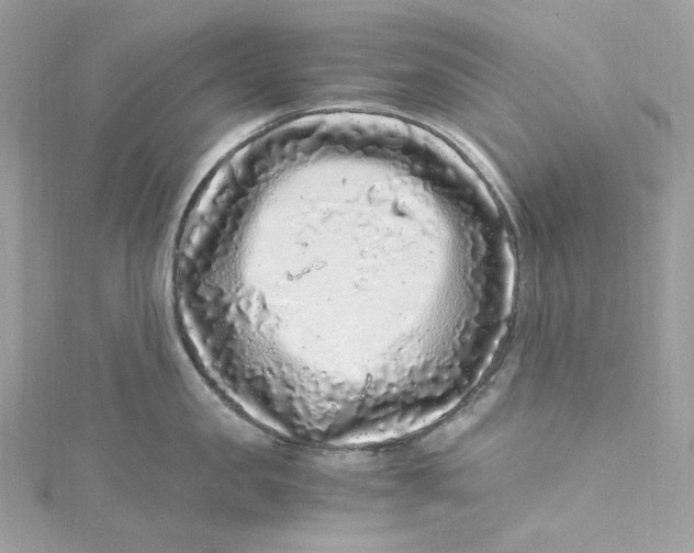 X0000115060957200911161606