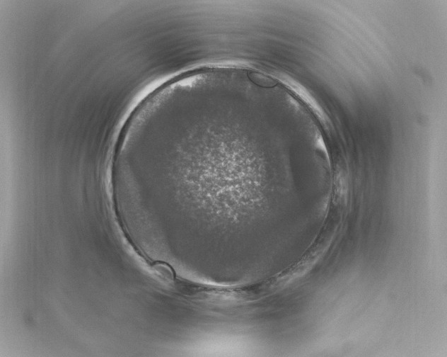 X0000115060959200911161606