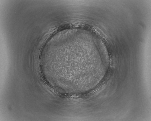 X0000115060961200911161605