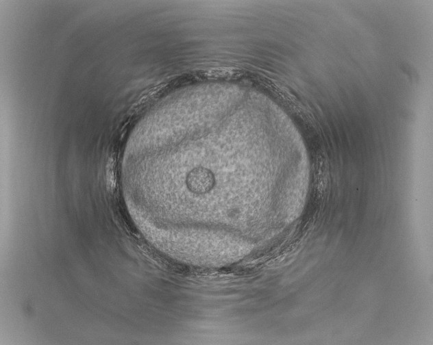 X0000115060962200911161605