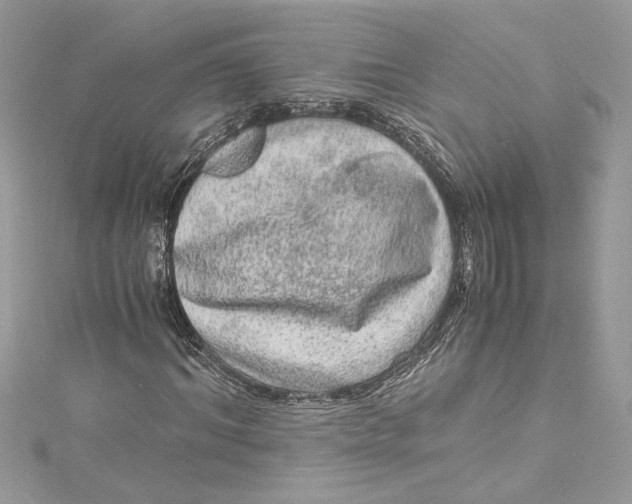 X0000115060964200911161605