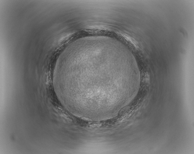 X0000115060965200911161605