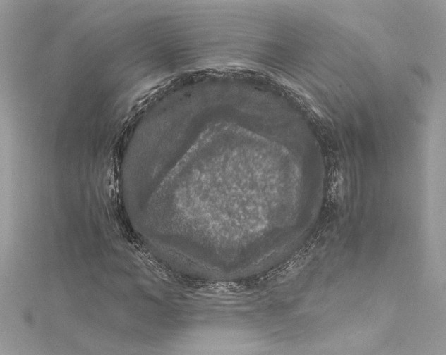 X0000115060966200911161605