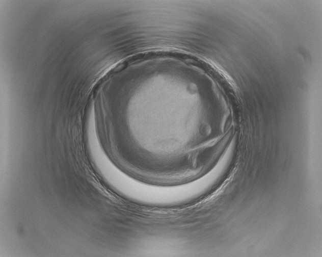 X0000115060969200911161605