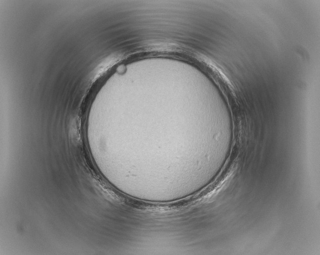 X0000115060970200911161605