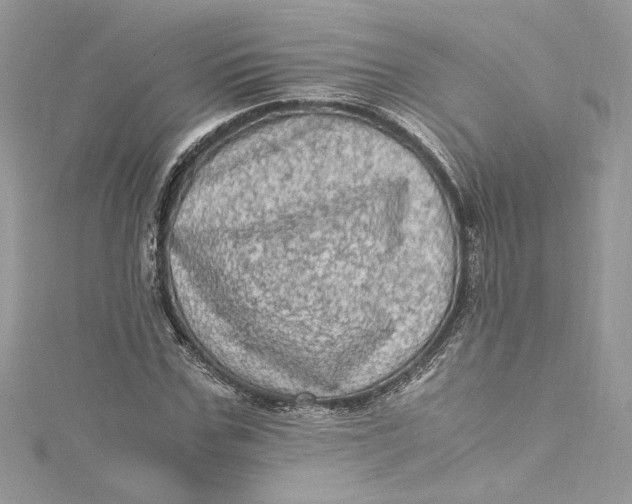 X0000115060971200911161605