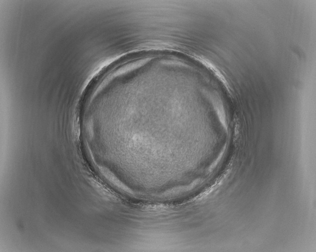 X0000115060973200911161605