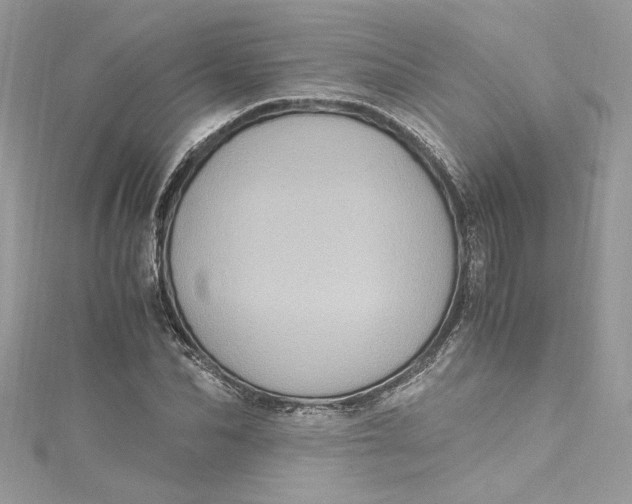 X0000115060974200911161605