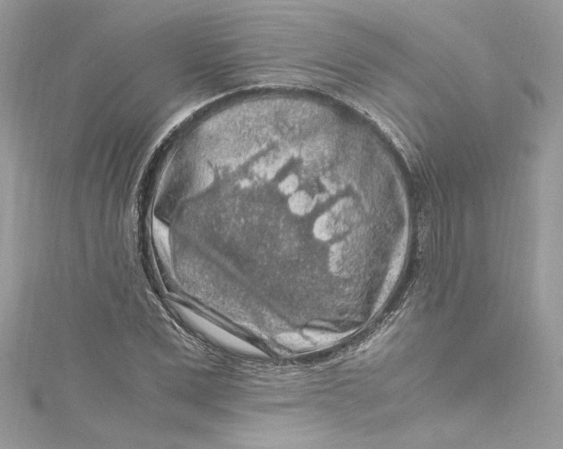 X0000115060975200911161605