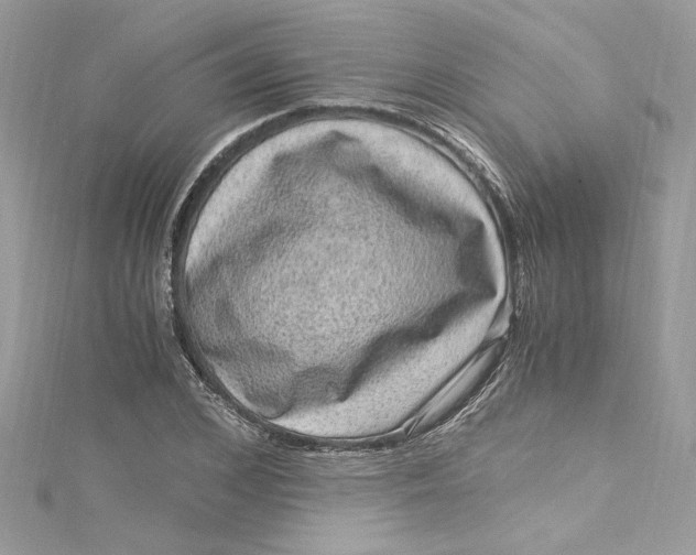 X0000115060976200911161605