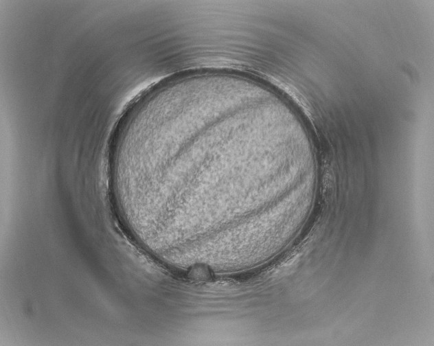 X0000115060979200911161605