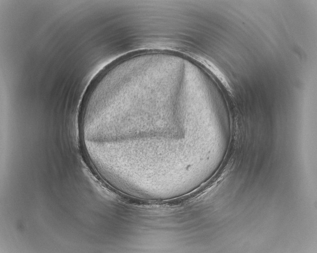 X0000115060980200911161605