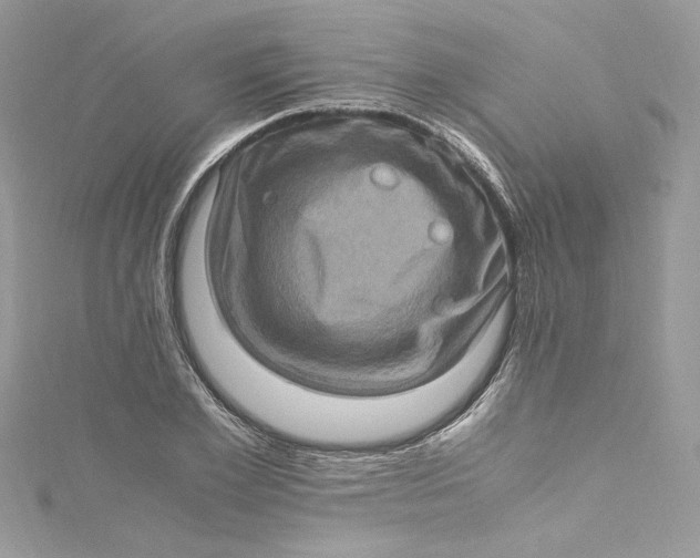 X0000115060981200911161605