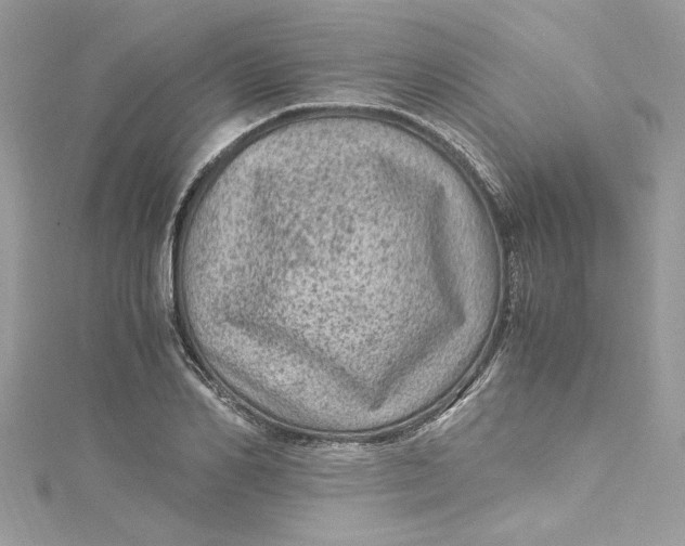 X0000115060982200911161605