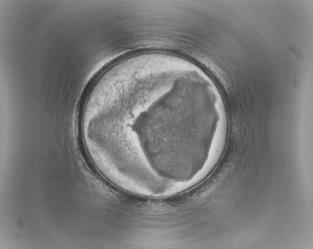 X0000115060983200911161605