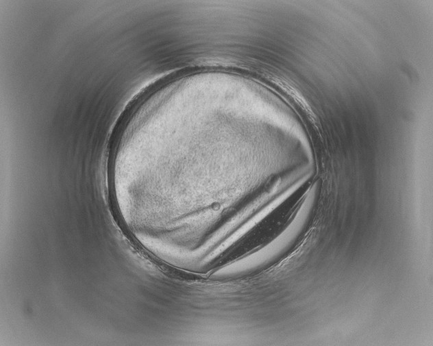 X0000115060984200911161605