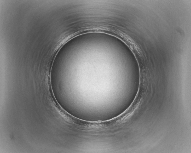 X0000115060985200911161605