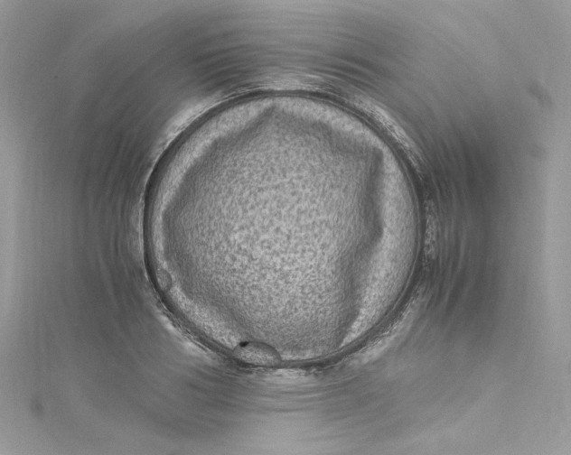 X0000115060986200911161605