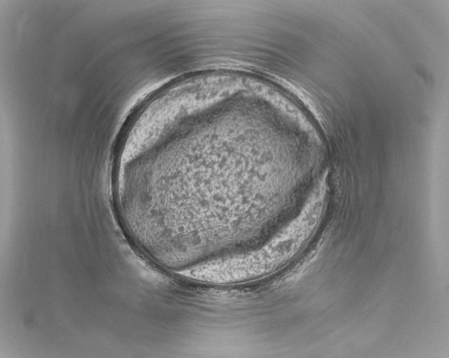 X0000115060987200911161605