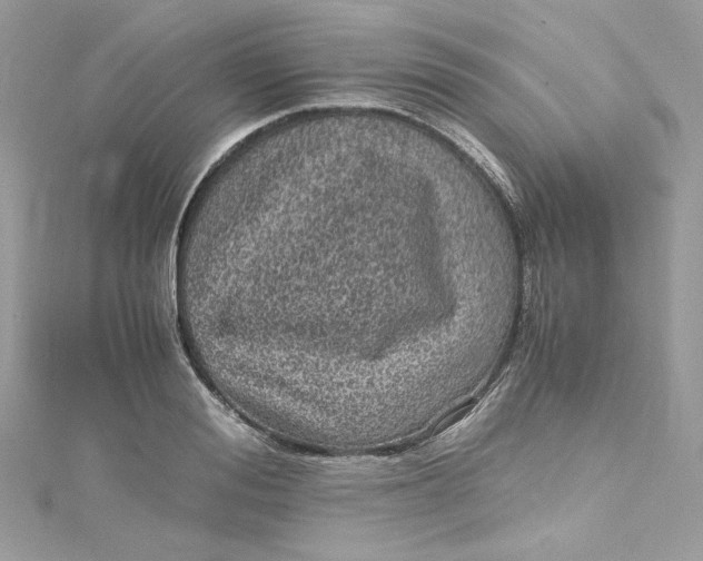 X0000115060988200911161605