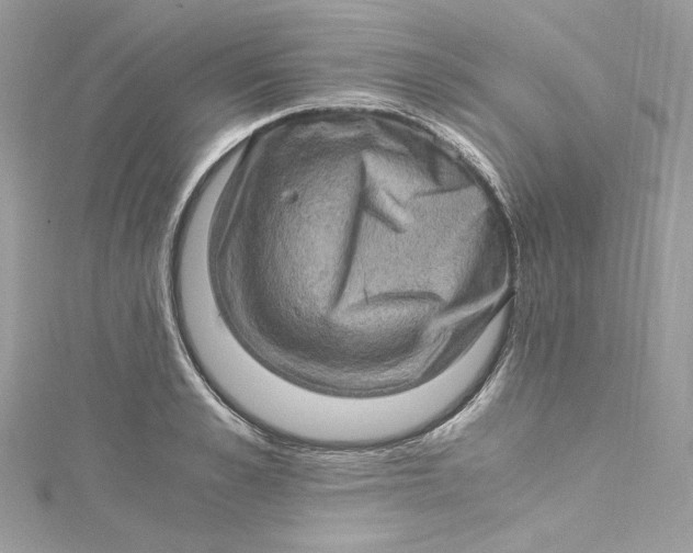 X0000115060989200911161605