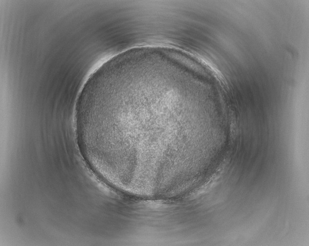 X0000115060990200911161605