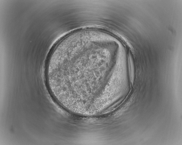 X0000115060991200911161605