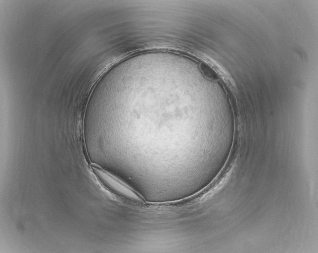 X0000115060993200911161605