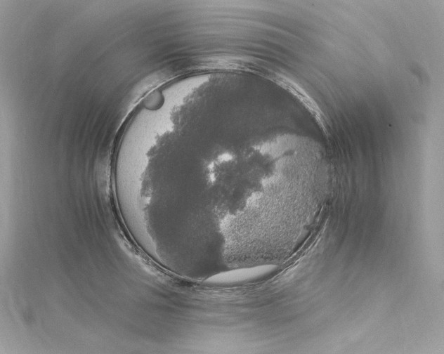 X0000115060994200911161605