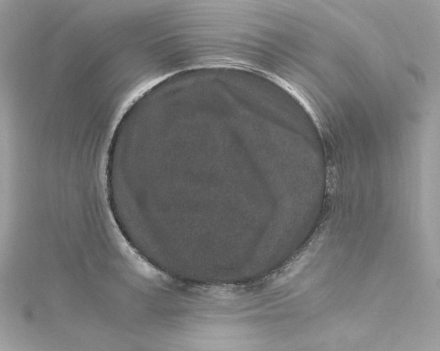 X0000115060995200911161605