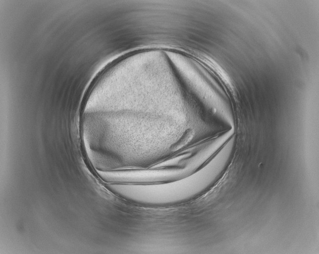 X0000115060996200911161605