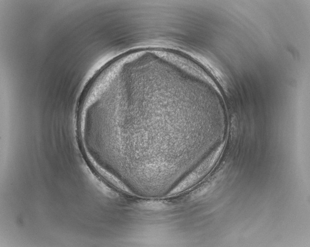 X0000115060998200911161605