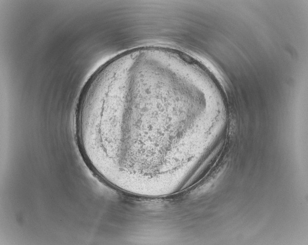 X0000115060999200911161605