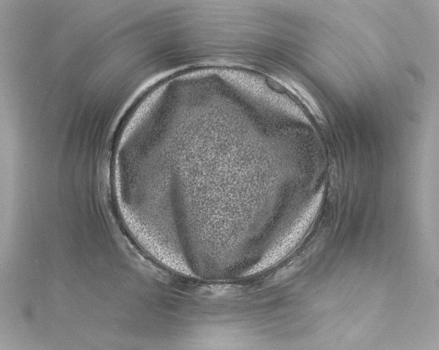 X0000115061000200911161605