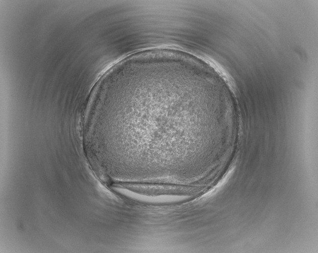 X0000115061001200911161605