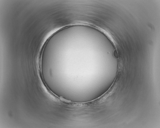 X0000115061003200911161605