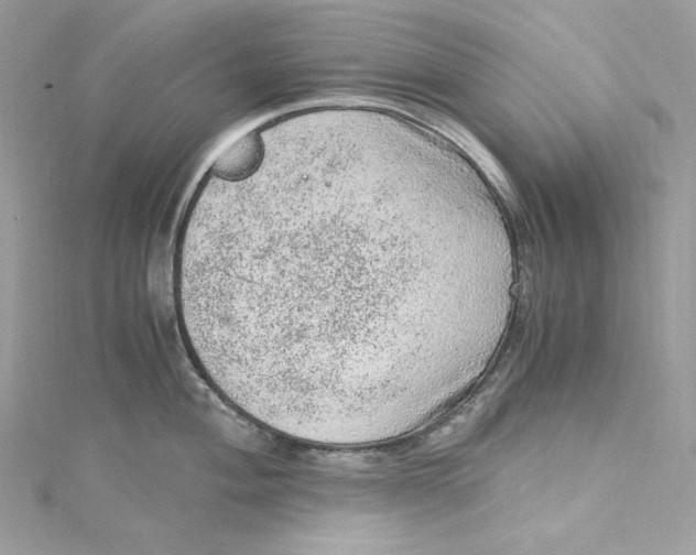 X0000115061004200911161605