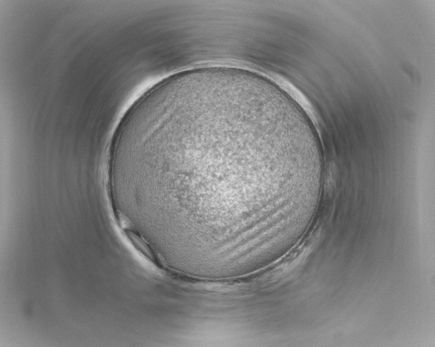 X0000115061005200911161604