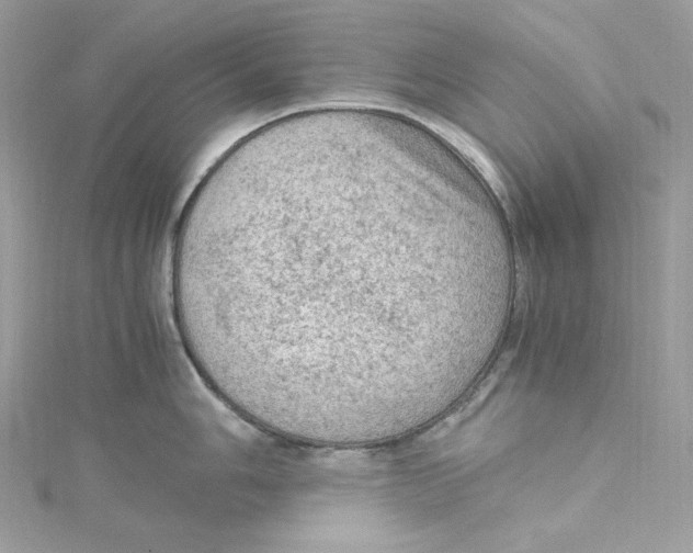 X0000115061006200911161604