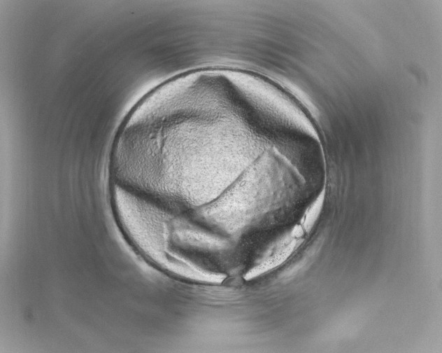 X0000115061007200911161604