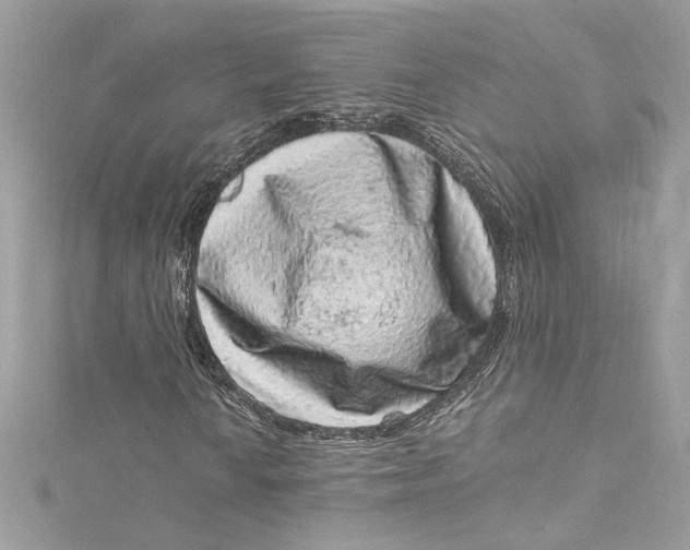 X0000115061010200911161604