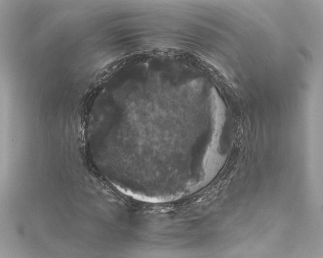 X0000115061013200911161604