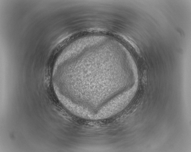 X0000115061015200911161604